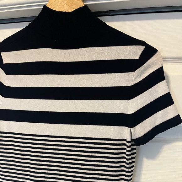 Carlisle Turtleneck Stripe Top - Picture 5 of 7